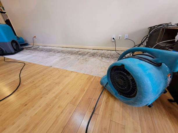 Professional Sewage Cleanup technician working in Marissa, IL